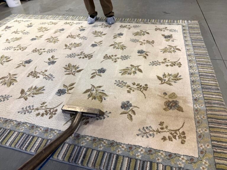 Oriental & Area Rug Cleaning